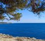 Spacious house of 673 m2 with sea view in Nova Veruda, Pula, just 200 meters from the sea - pic 54