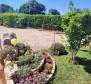 Tourist property of 7 apartments in Valbandon, Fažana just 700 meters from the sea - pic 4
