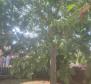 House for sale in Valdebek district of Pula - pic 11