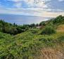 Fantastic urbanized land in Stanici, Omis riviera - rarity at the market! - pic 6