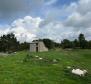 Anwesen von 9300 qm. mit zwei renovierungsbedürftigen Häusern in Svetvinčenat - foto 8