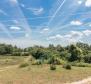 5 hálószobás nyaraló villa medencével, Svetvinčenat - pic 3