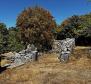 Altes Steinhaus auf großem Grundstück, Krk - foto 41