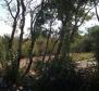 New villa with swimming pool and tennis court in Linardići, Krk peninsula, for sale - pic 8