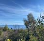 Terrain urbain avec vue sur la mer à Ravni, Raša, 2 086 m2 - pic 2