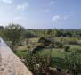Spacious villa for sale in Galižana, Vodnjan - pic 39