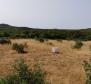 Agroland von mehr als 1,5 Hektar in der Region Vodice, großes Potenzial - foto 14