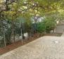 House with 3 apartments for sale in Valbandon, Fažana, just 1 km from the sea - pic 2