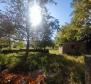 Maison en pierre dans la région de Labin avec terrain de 3956 m². - pic 10