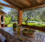 Villa in Pićan, in the heart of Istria - pic 7