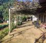 Spacious estate in Rovinj area, walking distance from the sea, on 11000 sq.m. of land - pic 2