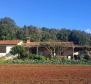 Spacious estate in Rovinj area, walking distance from the sea, on 11000 sq.m. of land - pic 6