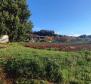 Spacious estate in Rovinj area, walking distance from the sea, on 11000 sq.m. of land - pic 9