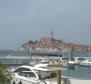 Spacious estate in Rovinj area, walking distance from the sea, on 11000 sq.m. of land - pic 14