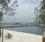 Spacious estate in Rovinj area, walking distance from the sea, on 11000 sq.m. of land - pic 16