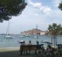 Spacious estate in Rovinj area, walking distance from the sea, on 11000 sq.m. of land - pic 17