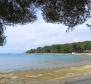 Touristic property of 7 apartments in Valbandon, Fažana just 1 km from the sea - pic 58