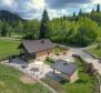 Schönes Ferienhaus in Fuzine, Gorski Kotar - foto 4