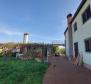 Villa of 330 sq.m. in Brtonigla on more than hectare of land - pic 19