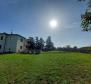 Villa of 330 sq.m. in Brtonigla on more than hectare of land - pic 4
