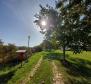 Villa of 330 sq.m. in Brtonigla on more than hectare of land - pic 25
