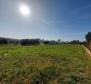Villa of 330 sq.m. in Brtonigla on more than hectare of land - pic 29