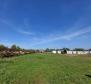 Villa of 330 sq.m. in Brtonigla on more than hectare of land - pic 34