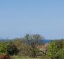 Baugrundstück mit Projekt und Meerblick in der Gegend von Porec - foto 2