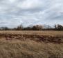 Attractive urbanized land plot for sale in Bale over 1 hectare. - pic 4