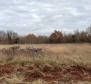 Attractive urbanized land plot for sale in Bale over 1 hectare. - pic 10