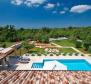 Gyönyörű villa medencével és 2000 m2-es kerttel Svetvincenatban - pic 6