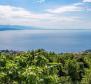 Villa in Matulji over Opatija with a view of the Kvarner blue sea - pic 4