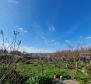 House 10 km from  Poreč for adaptation - pic 10