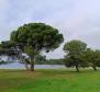 Apart-house of 9 apartments in Valbandon just 900 meters from the beach - pic 43