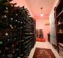 Apart-house in Štinjan, Pula, with sea views, just 300 meters from the sea - pic 57