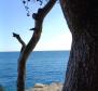 Villa with swimming pool near the city beaches in Nova Veruda, Pula suburb - pic 45