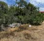 Guest house with 7 apartments in Dobrinj on Krk peninsula - pic 42