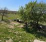 Villa at the final stage of construction in Cere, Žminj - pic 33