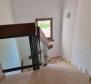 Enormous estate with two villas, two swimming pools, 10 apartments and a tennis court in Barban area, 8550 sq.m. of land - pic 74