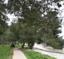 Luxury villa in prestigious Fažana, only 300 meters from the sea - pic 29