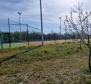 Propriété spacieuse avec 16 chambres, deux piscines et un court de tennis - pic 91
