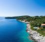 Beautifully isolated 1st line villa on a romantic island close to Dubrovnik! - pic 2
