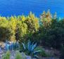 Ideale Immobilie zur Renovierung auf der Insel Calypso in Mljet, mit Privatstrand und Bootsanlegeplatz! - foto 20