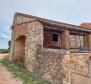 House in Brtonigla - pic 2