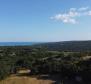 Hatalmas birtok Peruškiban, Marčana államban - pic 7