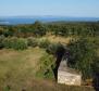 Hatalmas birtok Peruškiban, Marčana államban - pic 15