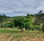 Resort, hotel, restaurant, apartments, camp, land complex of T1, T2, T3 in Motovun area - on 32.227 m2 of land - pic 77