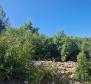 Baugrundstück mit Meerblick, 1189 qm. - foto 5