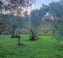 Land with building permit in Rabac, Labin - pic 4