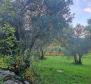Land with building permit in Rabac, Labin - pic 5